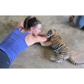 Shelly Noland's photo