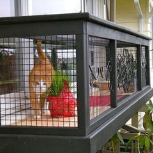Cat enclosures