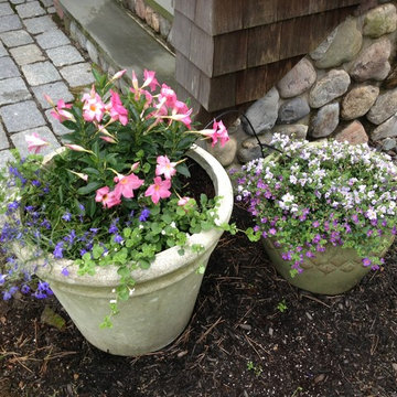 Seasonal Container Plantings & Changeovers