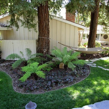 Hidden Hills
