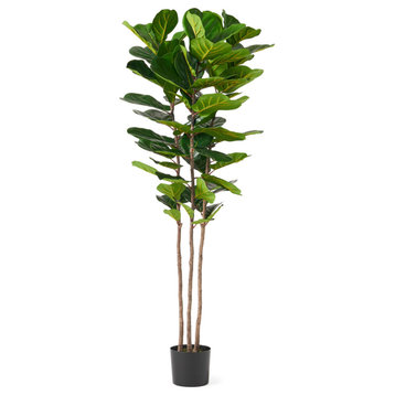 Socorro 2' x 1' Artificial Tabletop Fiddle-Leaf Fig Tree, 30 W X 30 D X 71 H