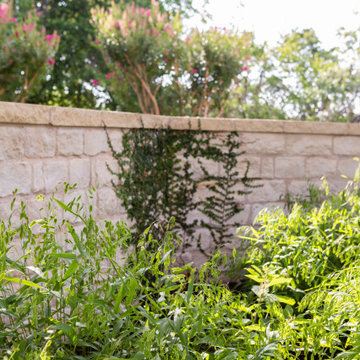 West Lake Hills | Courtyard Shade Planting