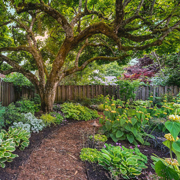 Magnolia Sanctuary Garden