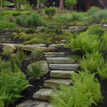 Exterior Ideas