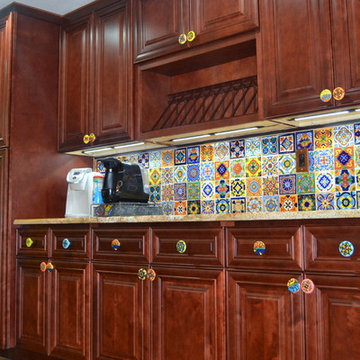 Lake Park Estates Kitchen Talavera-inspired Remodel