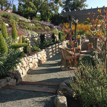 Landscape Ideas