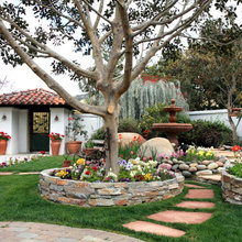 front yard