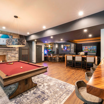 Entertainment Basement