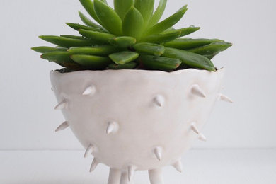 Spiky ceramic cactus planter