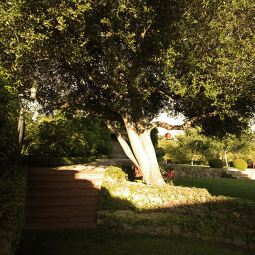 Family Compound