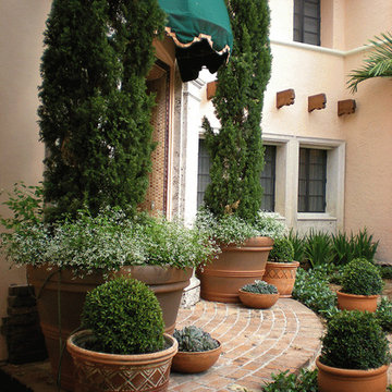 Mediterranean Elegance