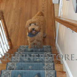 Pets on Stairs - Lifestyle And Leisure