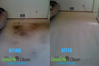 Before and After Carpet Cleaning