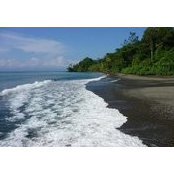 Andrea Rios's photo
