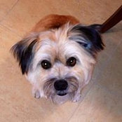 Susan NewVine's photo
