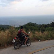 Sam Hollander's photo