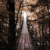 Angie Dodge's photo