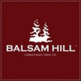 Balsam Hill's profile photo