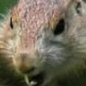 Mark Little's photo