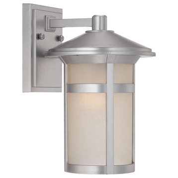 Acclaim Phoenix 1-Light Outdoor Wall Light 39102BS - Brushed Silver