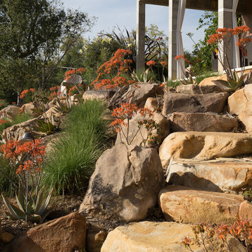 Whimsical Retreat