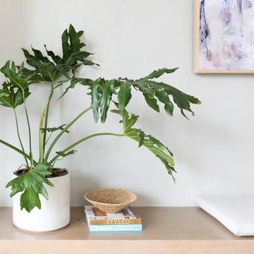 Dolores St | Interior Design