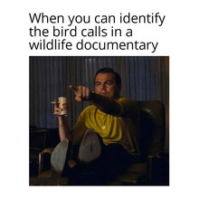 David S.