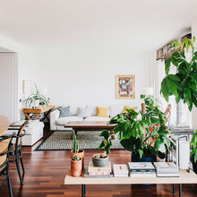 Plantas