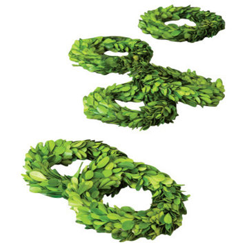 Mini Perserved Boxwood Wreaths, set of 6