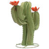 Green Curvy Cactus