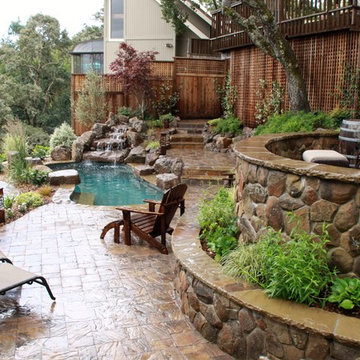 Novato Hillside