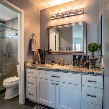Master Bathroom Remodel