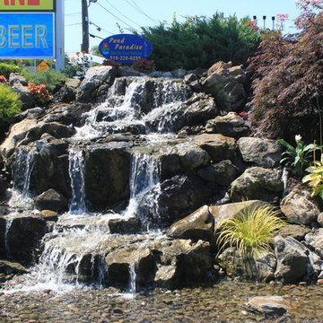 Pond Paradise Designs assorted photos