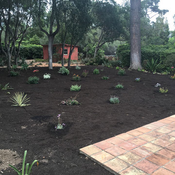 Landscape and Mulch Installations