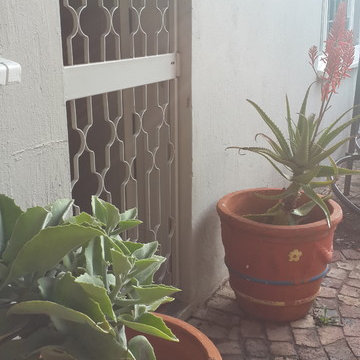 Gardenboutique Plants in pots at backdoor