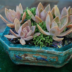 Container Arrangements - Outdoor Pots And Planters