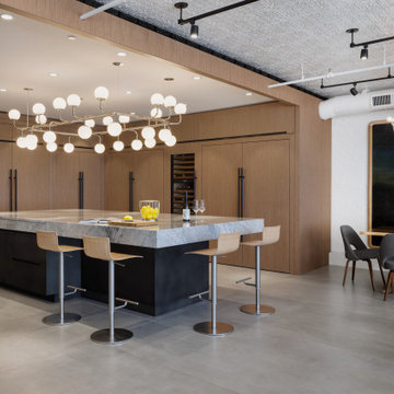 Smart Home: Lighting Control, WiFi, Audio, and VideoIndustrial-style home with d