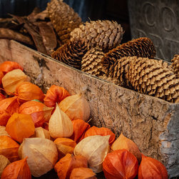 D.I.Y. Workshops - Wreaths And Garlands