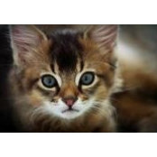 Emma Rose's photo