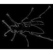 Jeff Pagnutti's photo