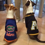 Ellen Maloney's photo