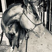 Sadie Elbe's photo