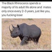 Jason Henny's photo