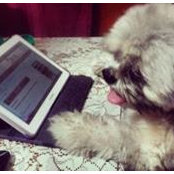Foto von Rina AntonioSantos