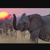 Nicole Vumbaco's photo