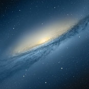 John Dall's photo