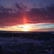Peggy Kamins's photo