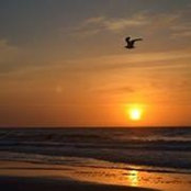 Michael Sinsimer's photo