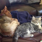 Jennifer Vandeveer's photo