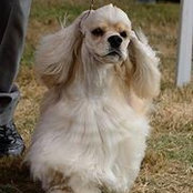 Cheryl Rosales's photo